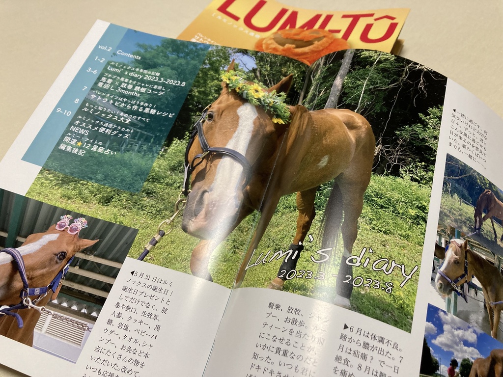 LUMI-TU(ルミノックス通信)vol.2