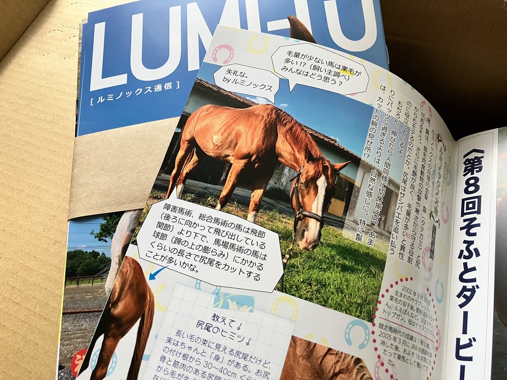 LUMI-TU(ルミノックス通信)vol.4