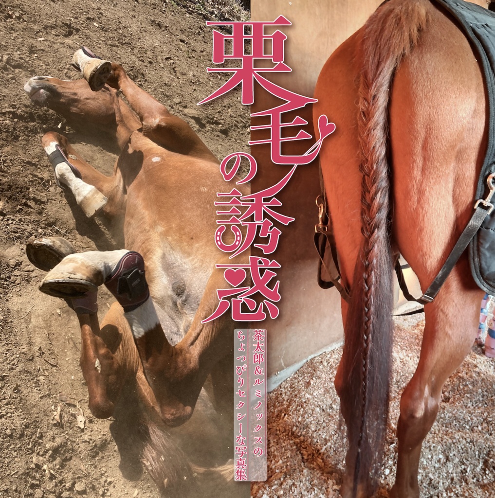 栗毛の誘惑〜茶太郎＆ルミノックスのちょっぴりセクシーな写真集〜