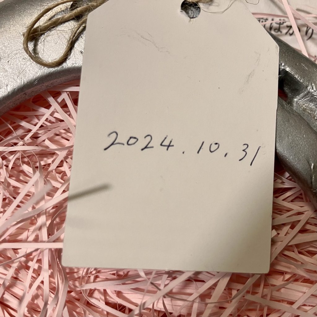 ルミノックスの蹄鉄