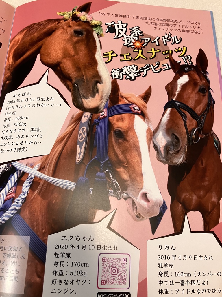 LUMI-TU(ルミノックス通信)vol.5