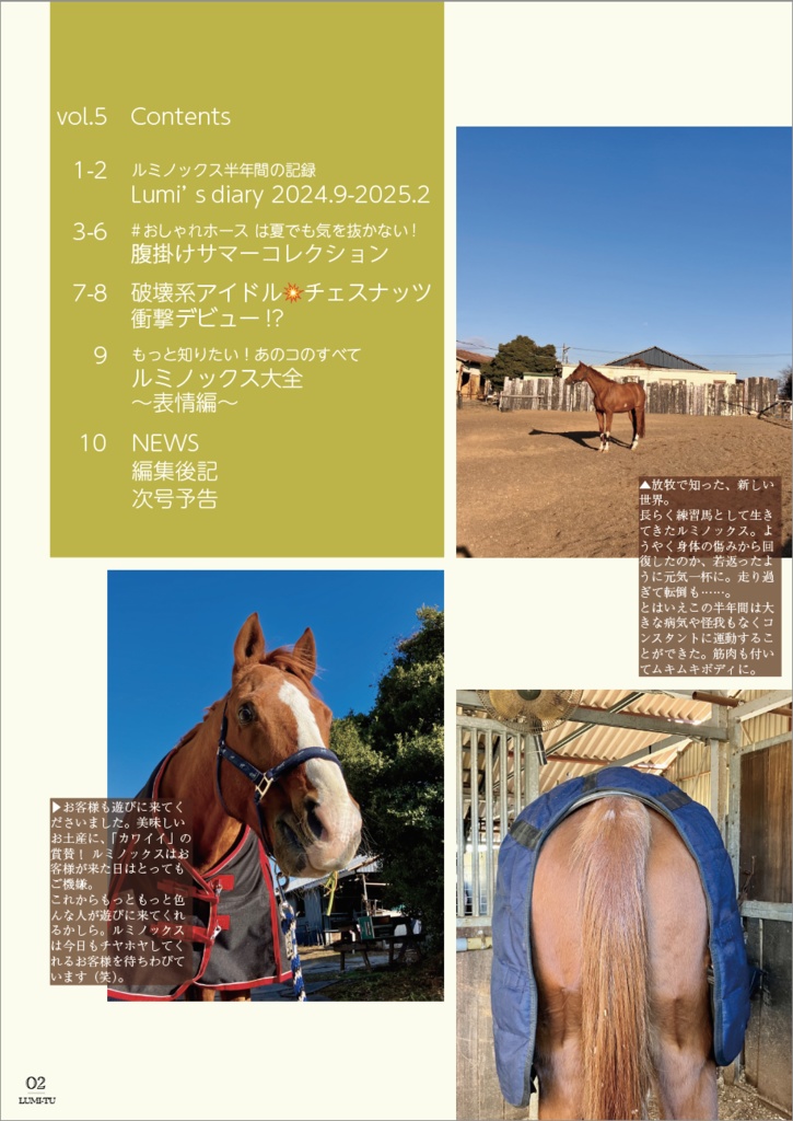 LUMI-TU(ルミノックス通信)vol.5