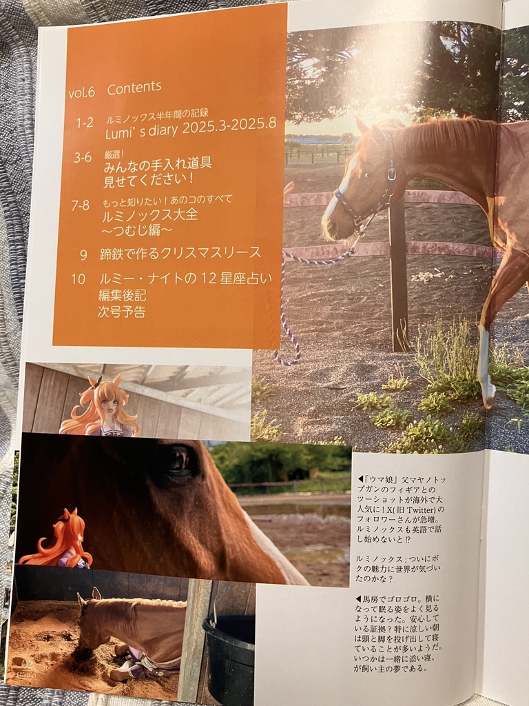 LUMI-TU(ルミノックス通信)vol.6