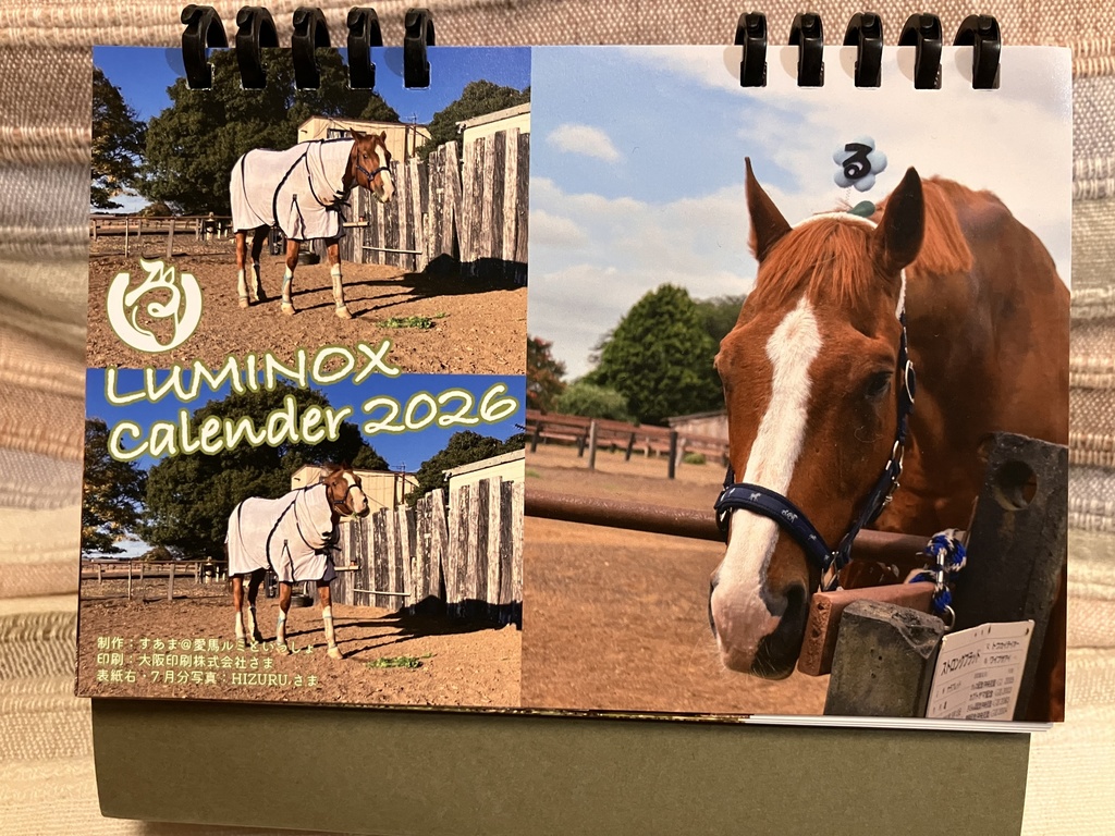 ルミノックスカレンダー2026