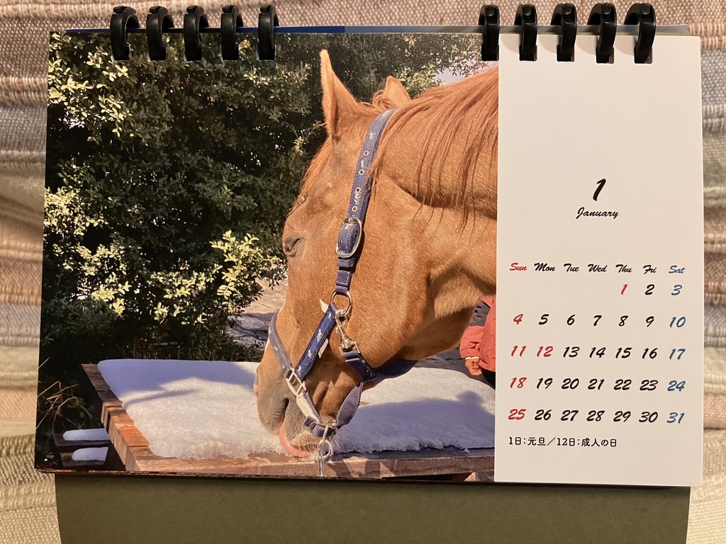 ルミノックスカレンダー2026