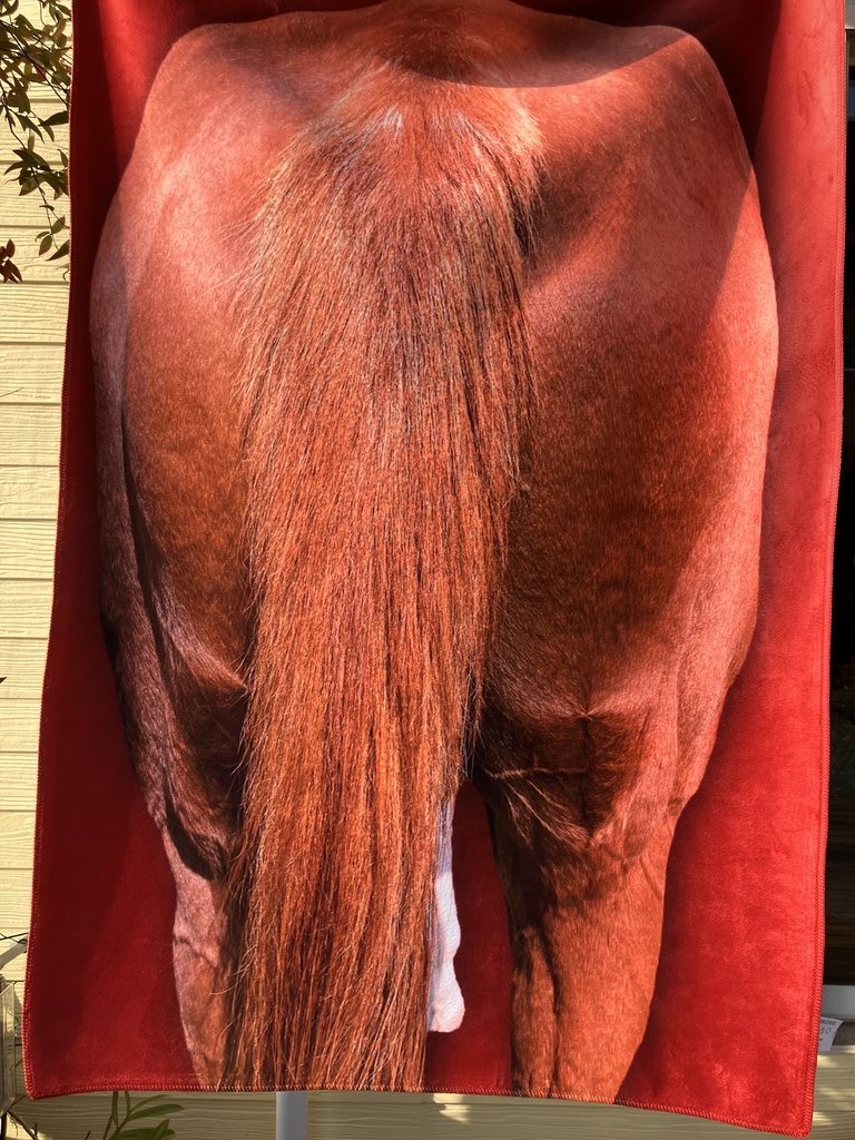 ルミぽんのお尻ブランケット