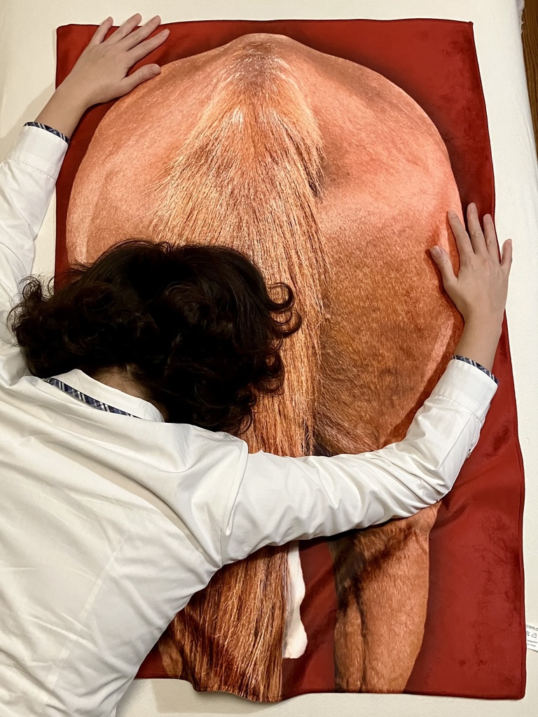 ルミぽんのお尻ブランケット