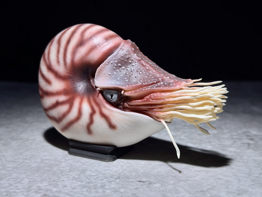 パラオオウムガイM(塗装済み完成品)