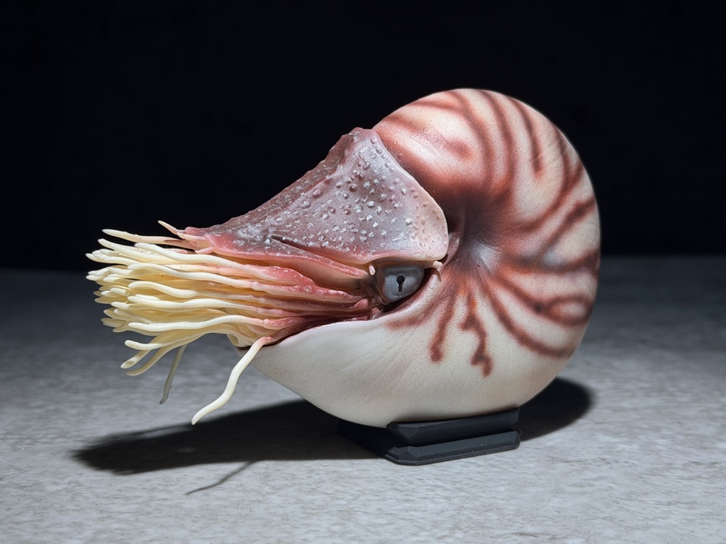 パラオオウムガイM（塗装済み完成品）