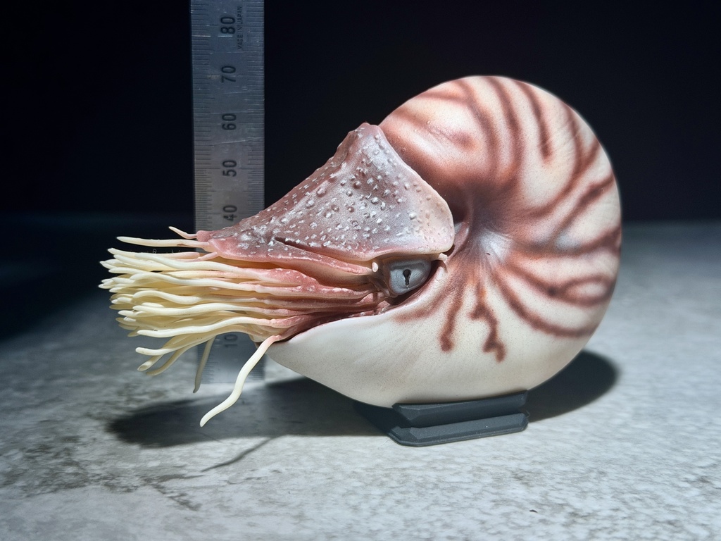 パラオオウムガイM(塗装済み完成品)