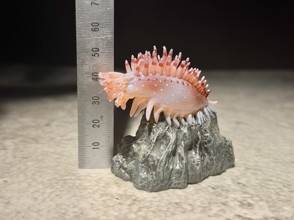 ヒメカンテンナマコ(塗装済み完成品)