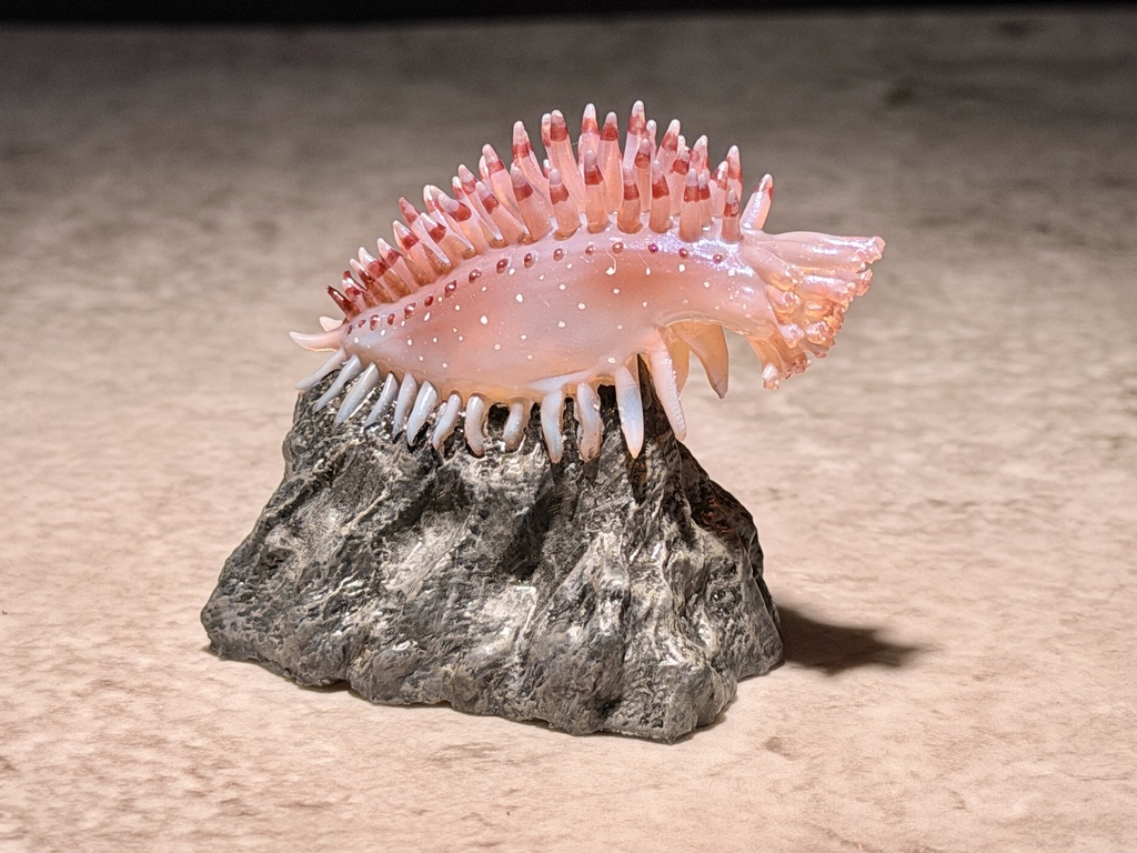 ヒメカンテンナマコ(塗装済み完成品)