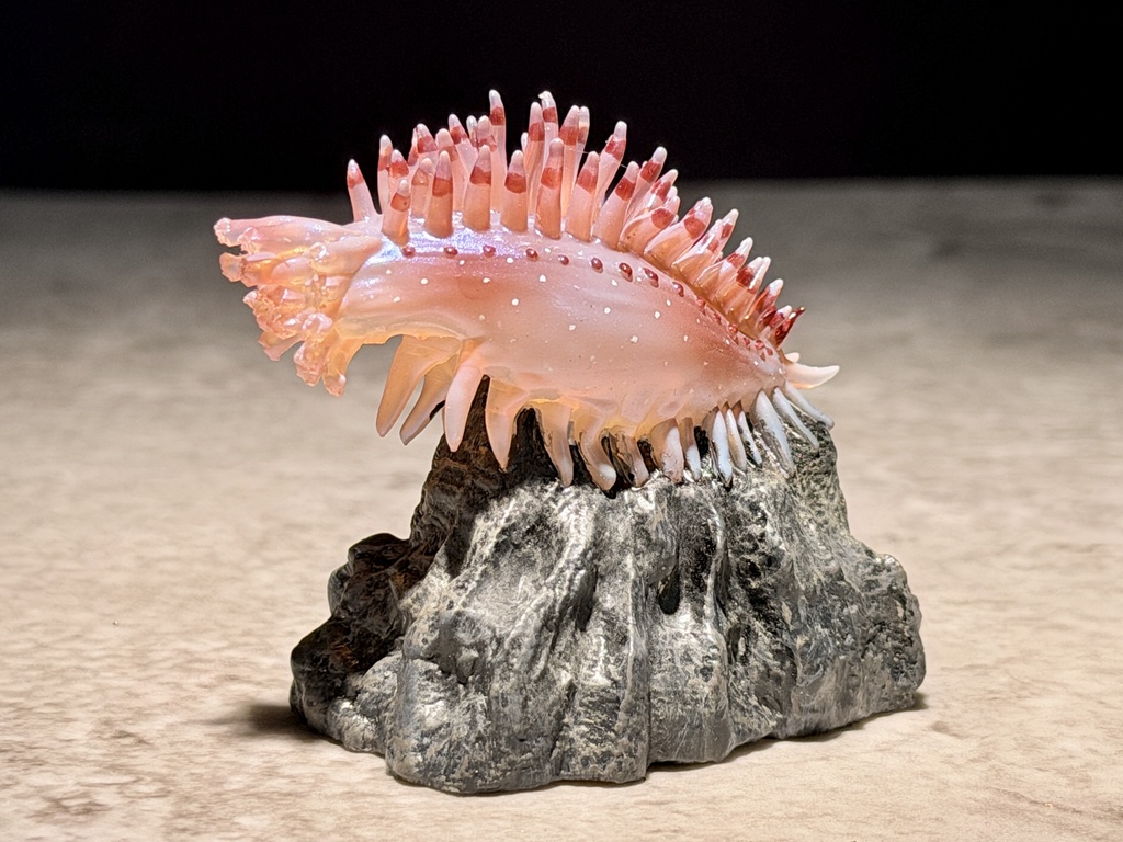 ヒメカンテンナマコ(塗装済み完成品)