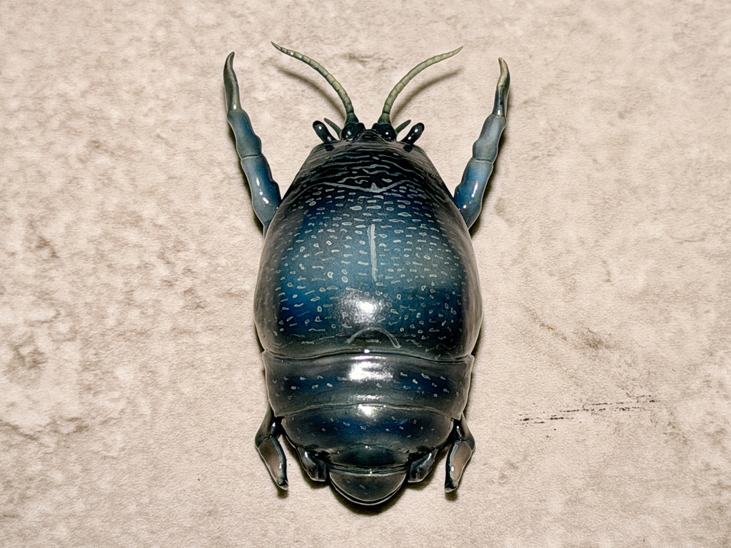 スナホリガニ(塗装済み完成品)