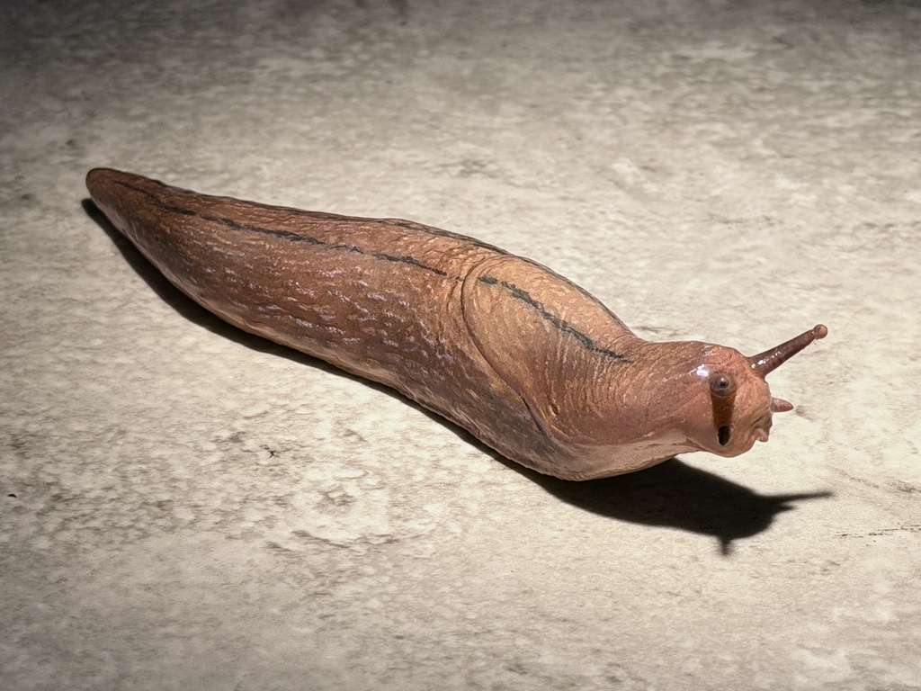 チャコウラナメクジ(塗装済み完成品)