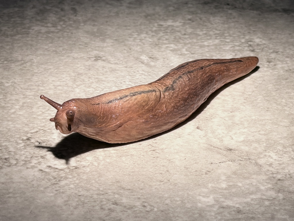 チャコウラナメクジ(塗装済み完成品)