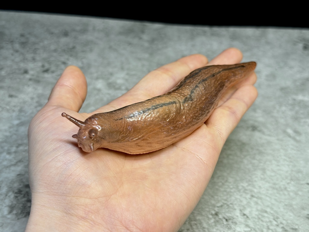 チャコウラナメクジ(塗装済み完成品)