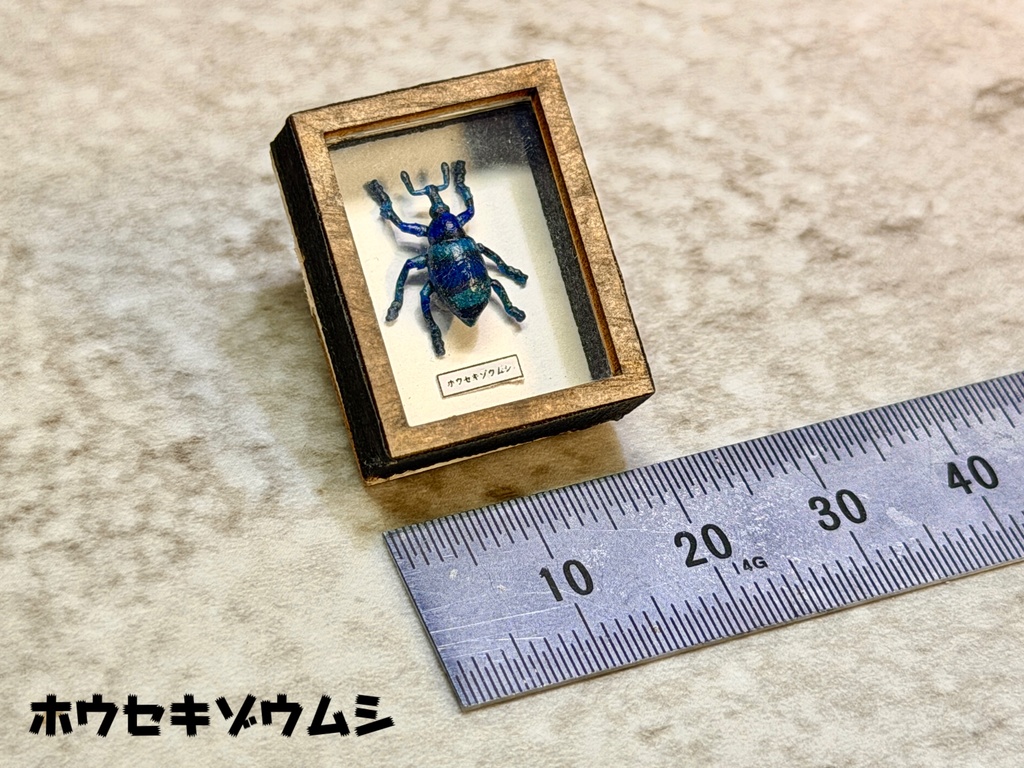 ミニチュア昆虫標本