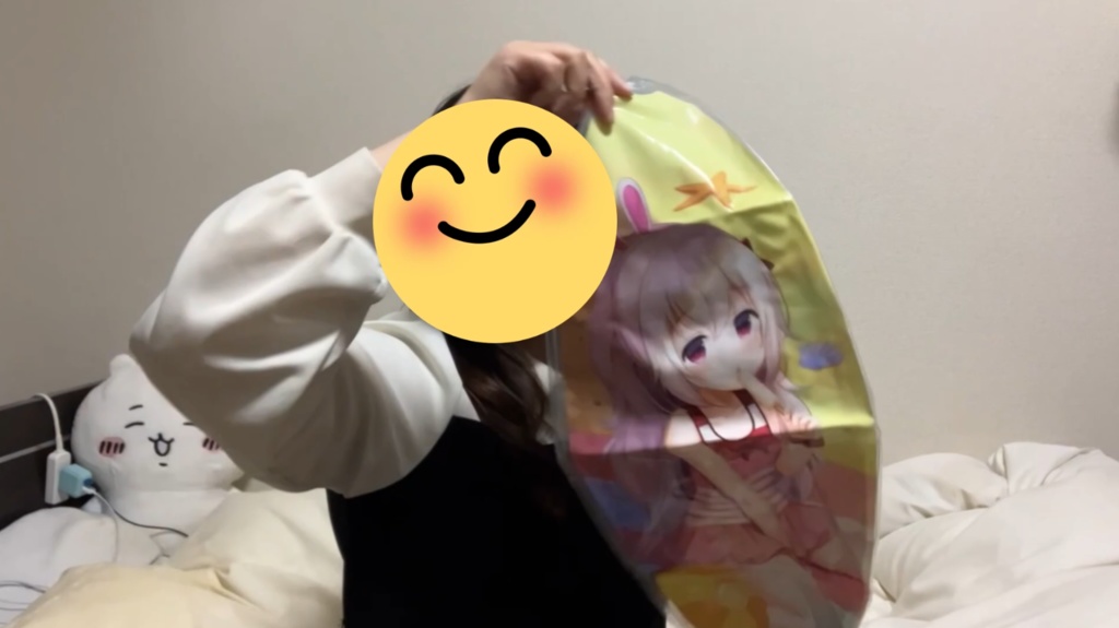 みみちゃんがビーチボールで遊ぶ2