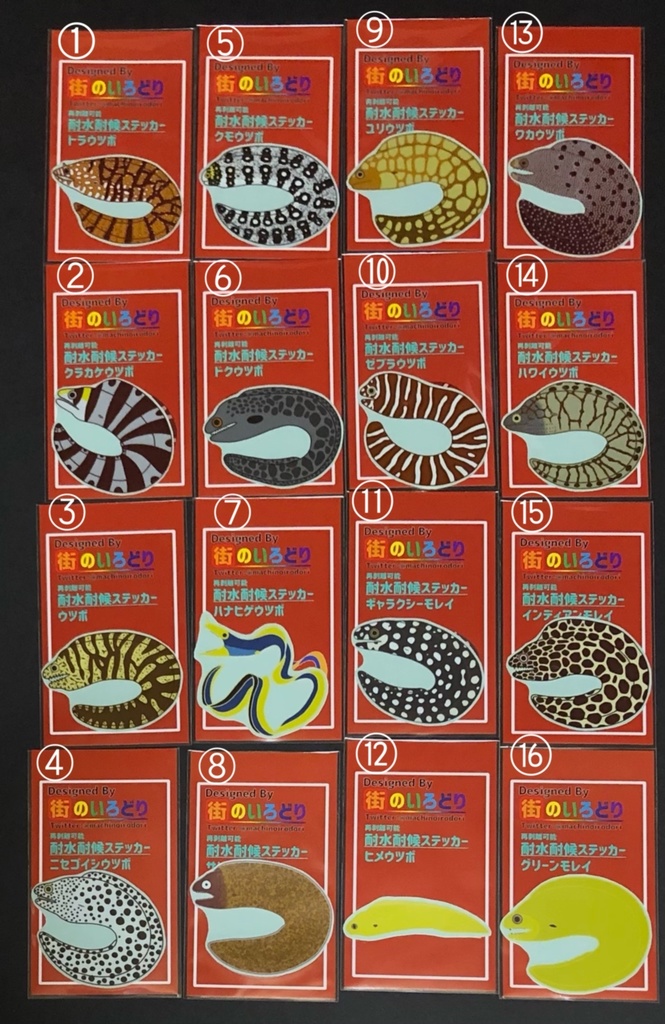 ⑬ワカウツボ耐水耐候ステッカー(まるころウツボ)