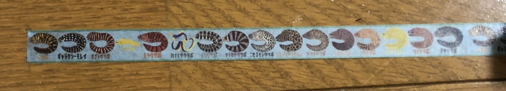 まるころウツボマスキングテープ(1巻)