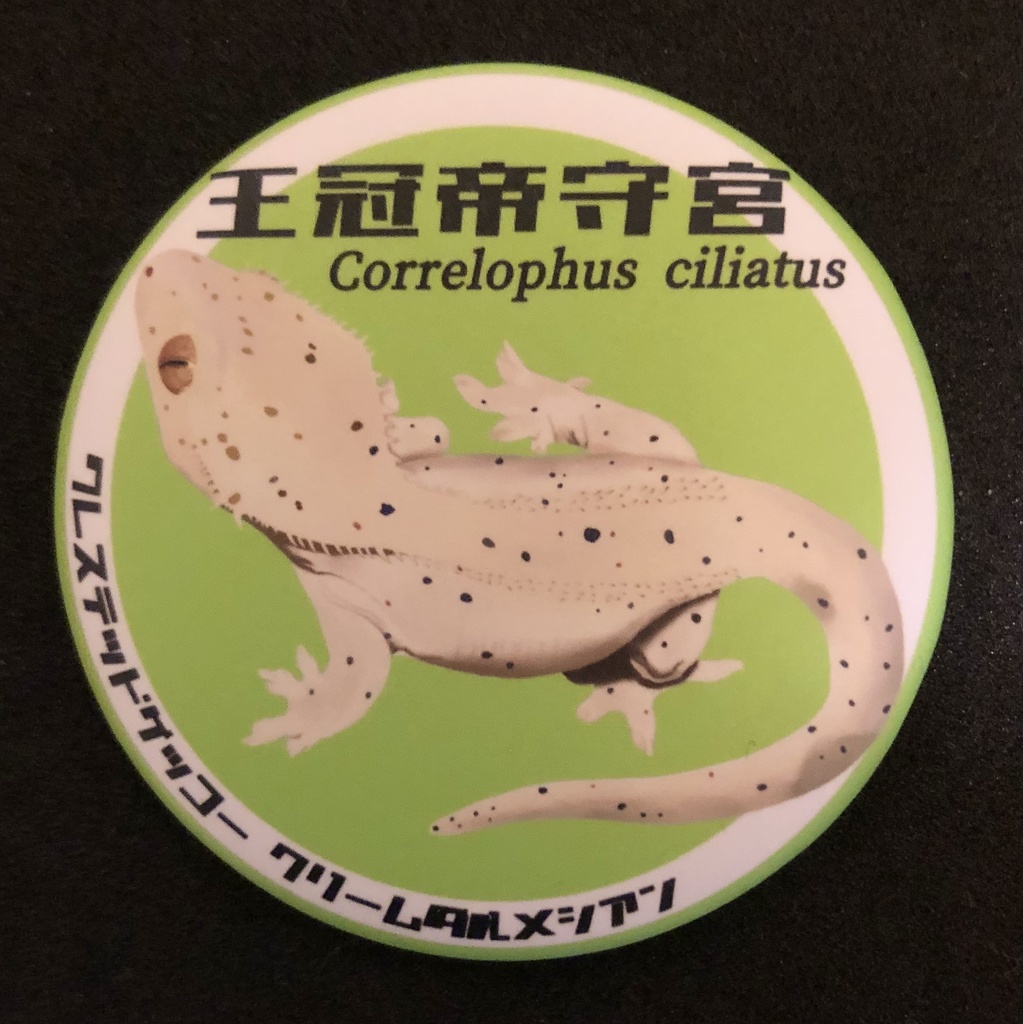 クレステッドゲッコー・クリームダルメシアン缶バッジ