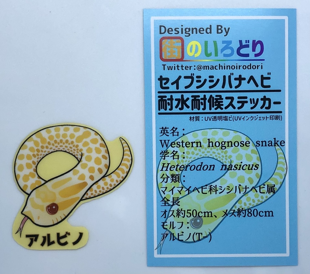 セイブシシバナヘビ耐水耐候ステッカー・アルビノ(台紙付き)
