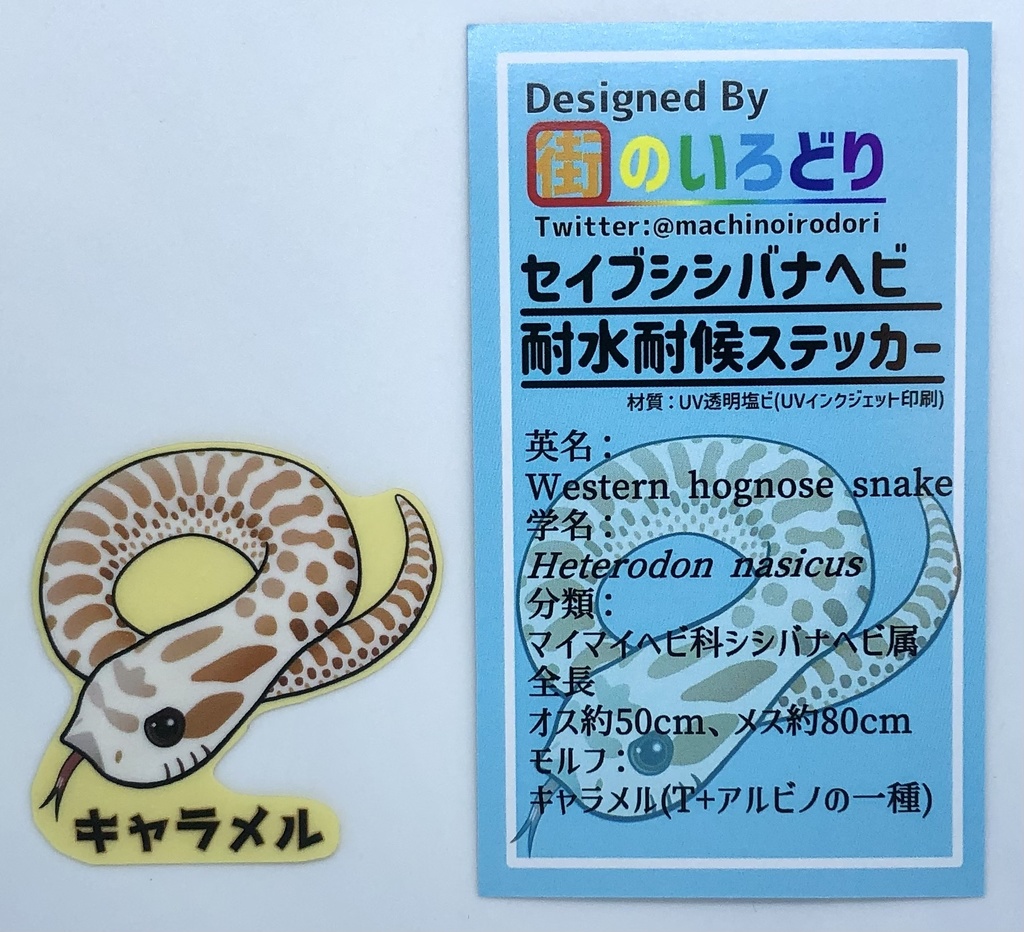 セイブシシバナヘビ耐水耐候ステッカー・キャラメル(台紙付き)