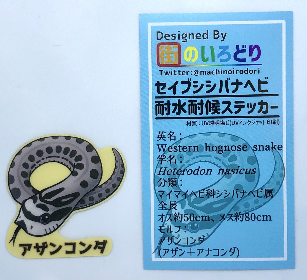 セイブシシバナヘビ耐水耐候ステッカー・アザンコンダ(台紙付き)