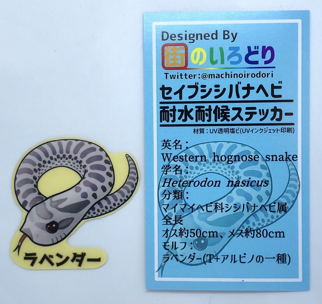 セイブシシバナヘビ耐水耐候ステッカー・ラベンダー(台紙付き)
