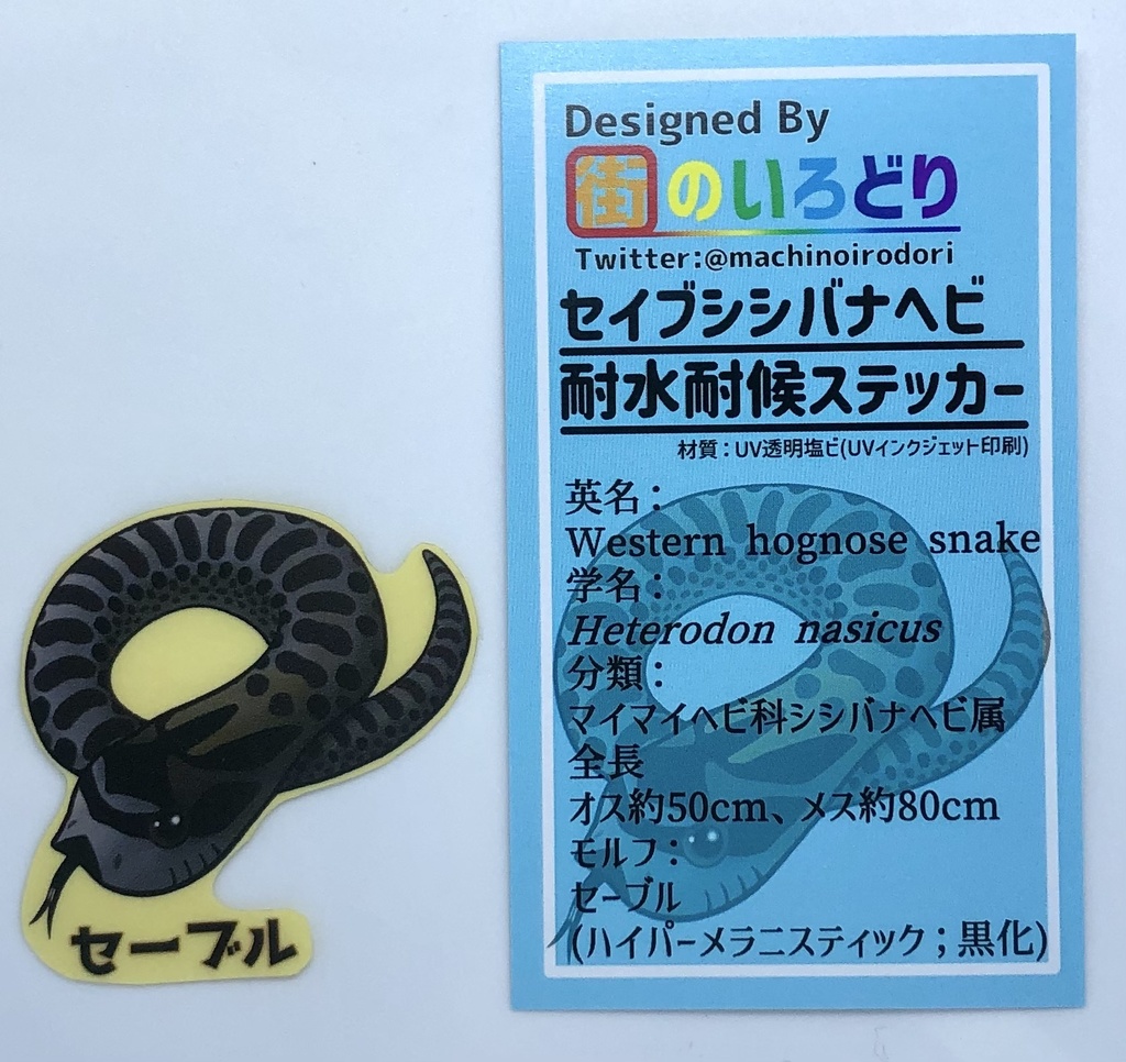 セイブシシバナヘビ耐水耐候ステッカー・セーブル(台紙付き)