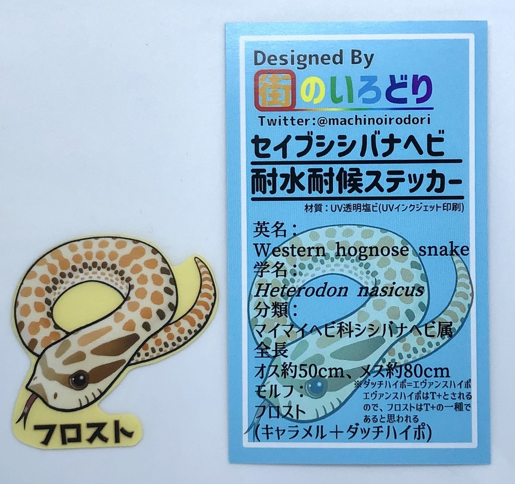 セイブシシバナヘビ耐水耐候ステッカー・フロスト(台紙付き)