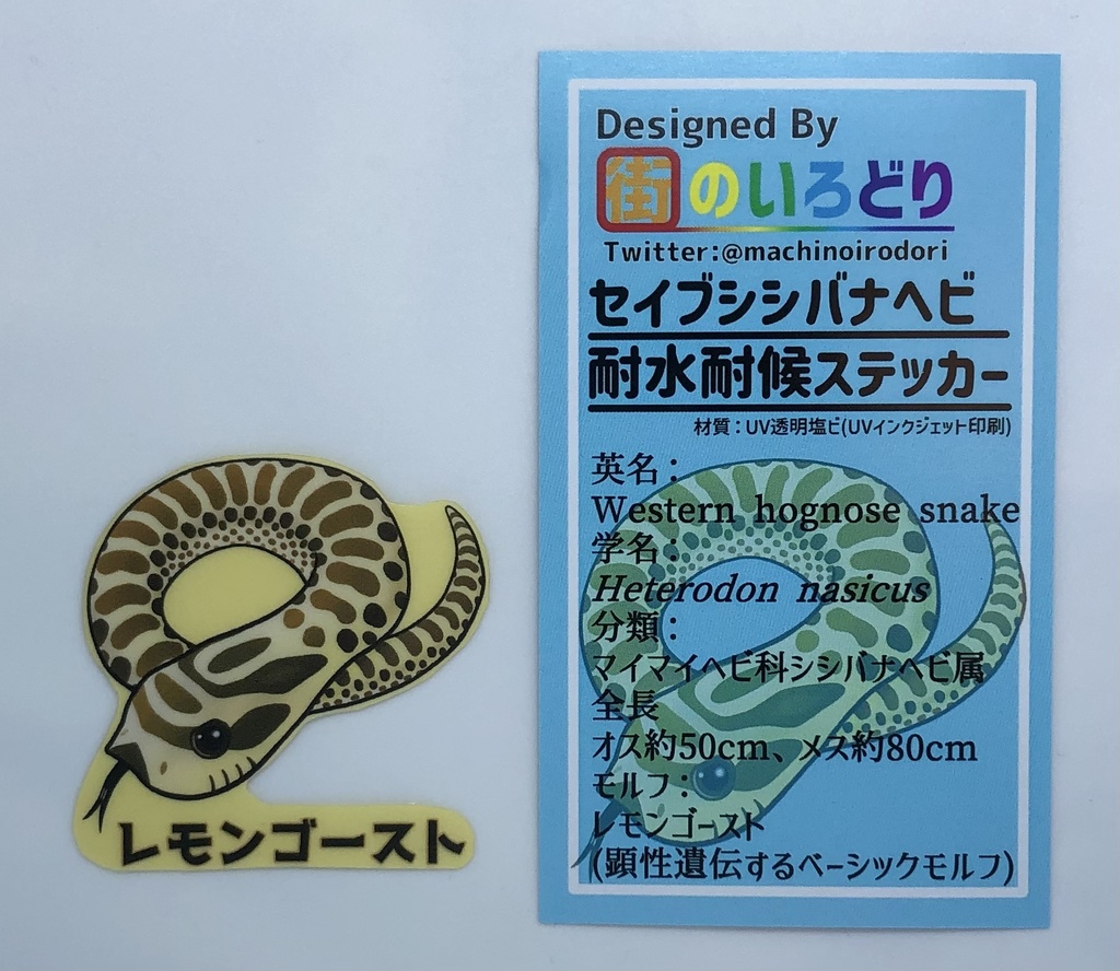 セイブシシバナヘビ耐水耐候ステッカー・レモンゴースト(台紙付き)