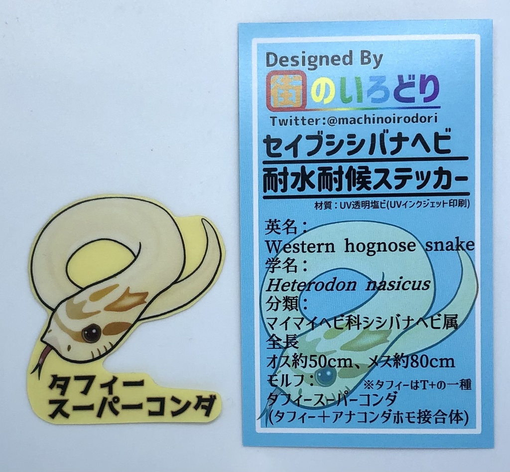 セイブシシバナヘビ耐水耐候ステッカー・タフィースーパーコンダ(台紙付き)