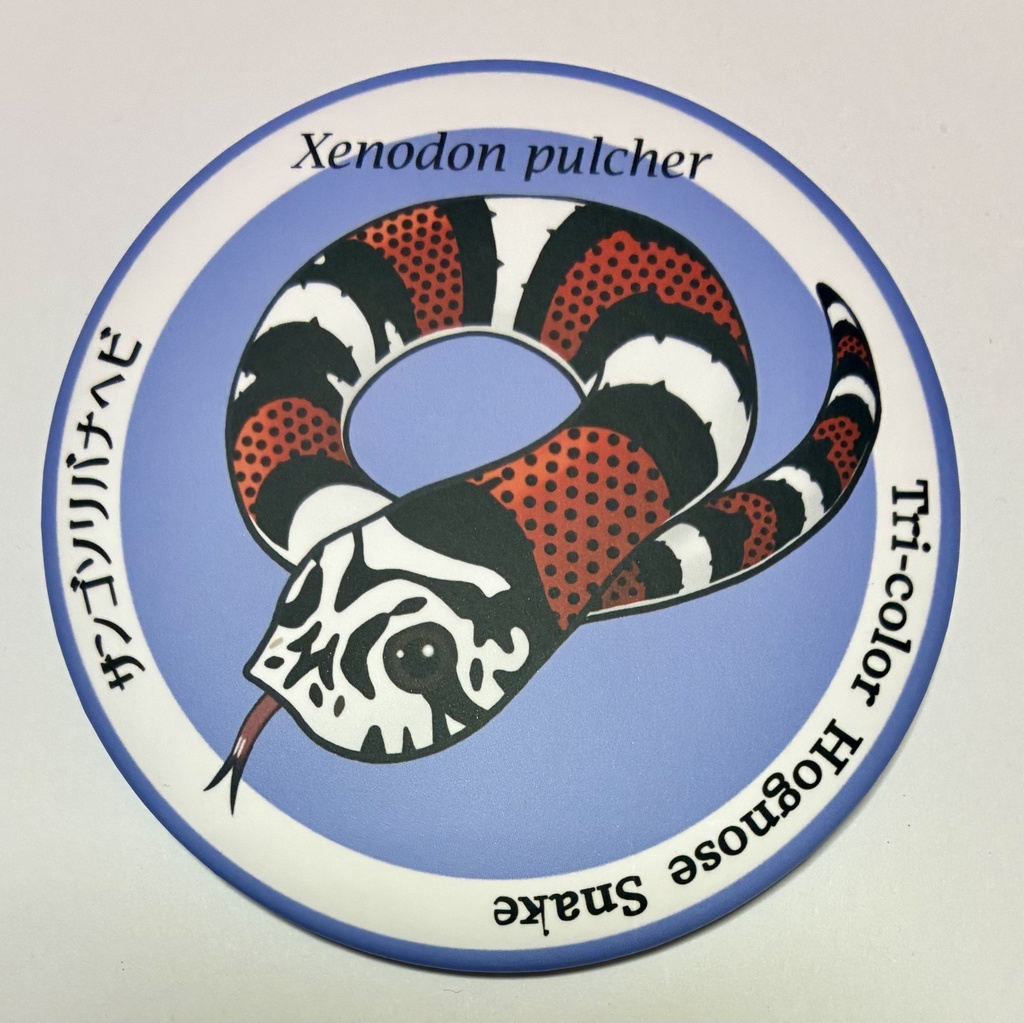 トリカラーホッグノーズスネーク76mm缶バッジ