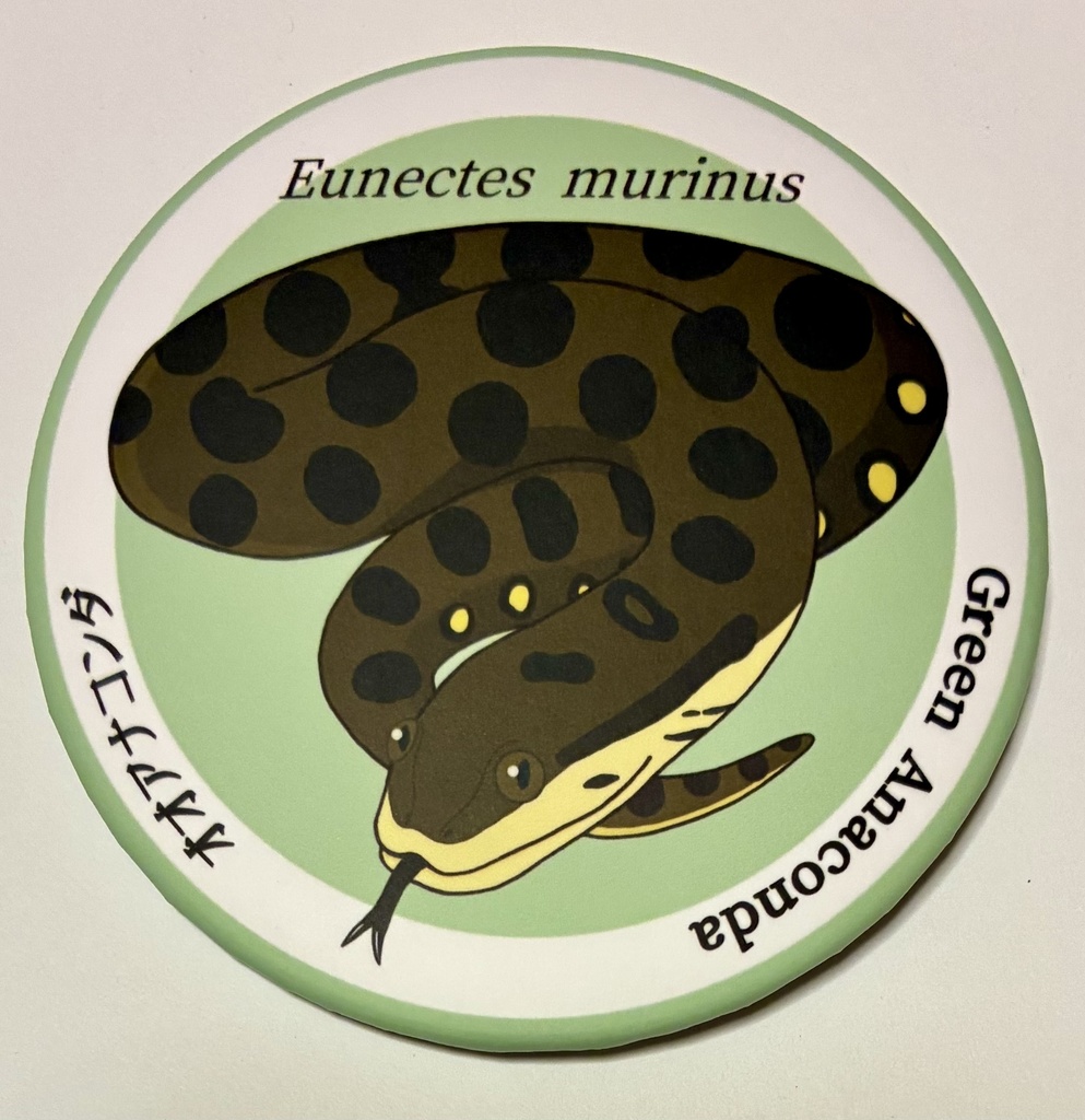 オオアナコンダ76mm缶バッジ