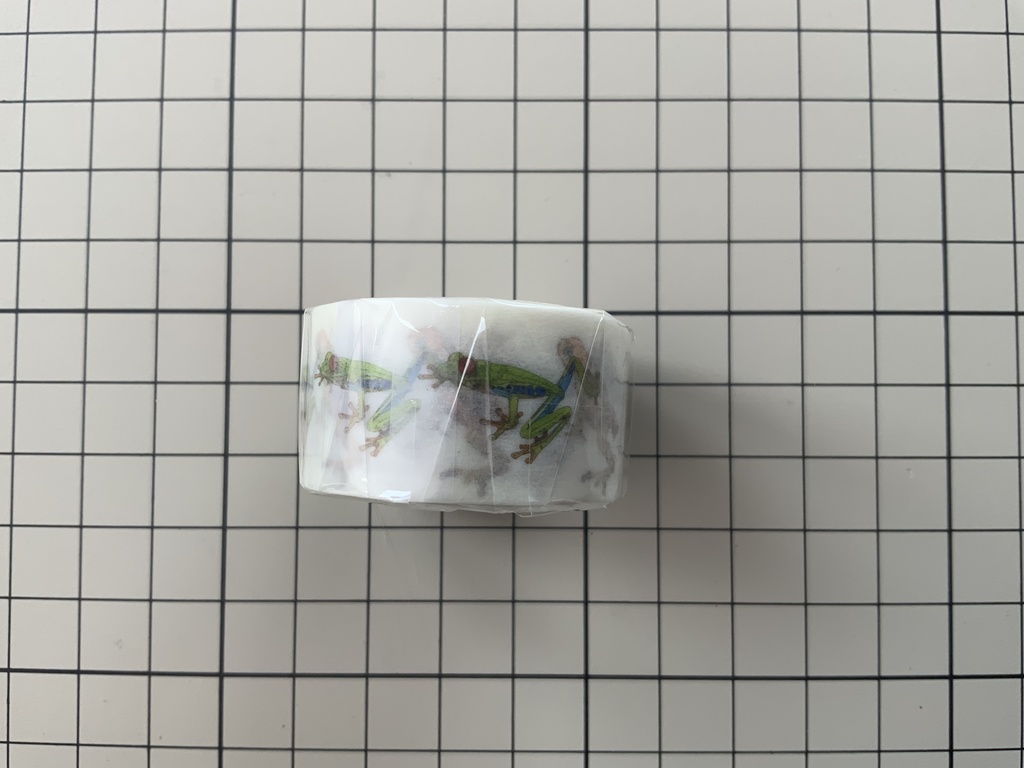 アカメアマガエル★