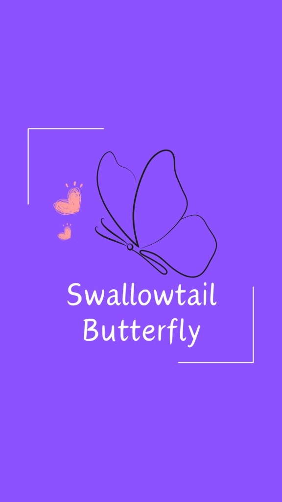 Swallowtail Butterfly【スプシデータ付き】