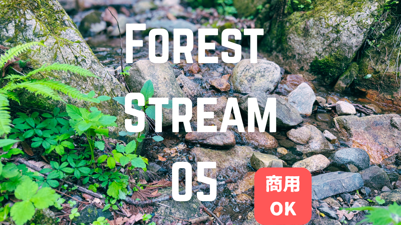 静かな森と小川の環境音⑤（6分）