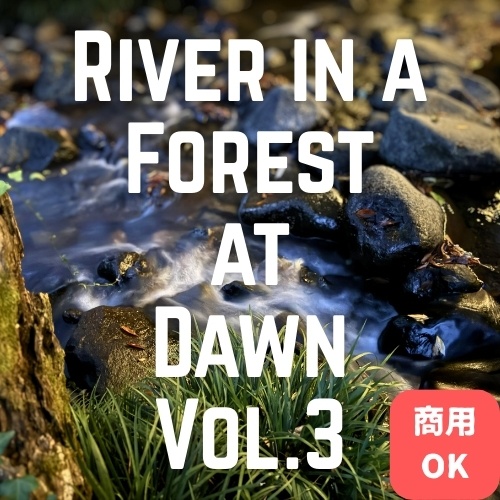 早朝の森に流れる川の音③(7:29)