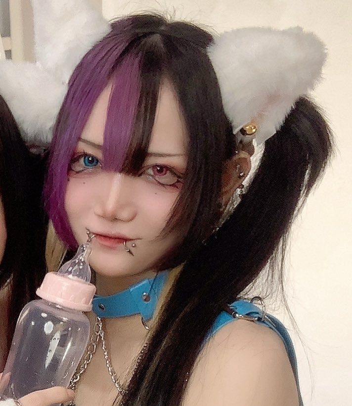 猫(まお)の白猫夏チェキ