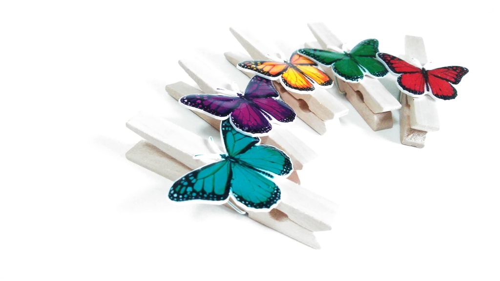 5色の蝶の木製クリップ