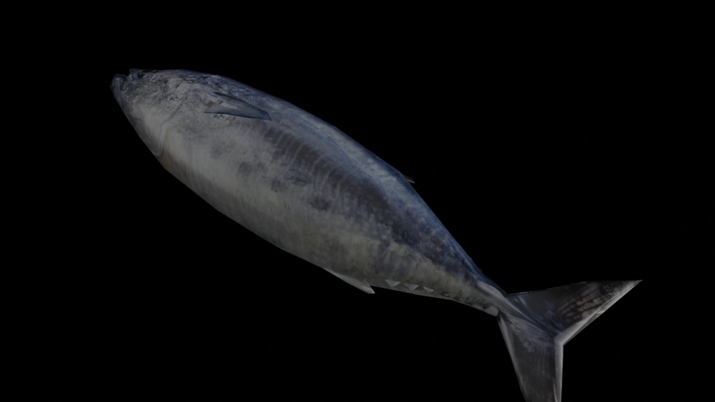 【3Dモデル】マグロ(ローポリ) びちびちシェイプキー付