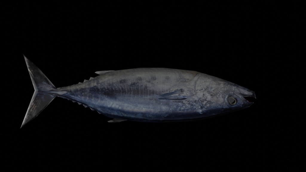 【3Dモデル】マグロ(ローポリ) びちびちシェイプキー付