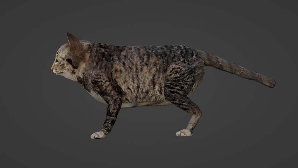 【3Dキャラクター】ブサ猫 パル君 (Blender Rigify) ローポリ