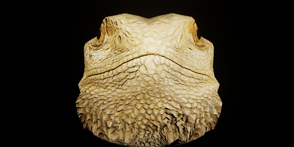 【3D小道具】トカゲあたま(ローポリかぶり物)