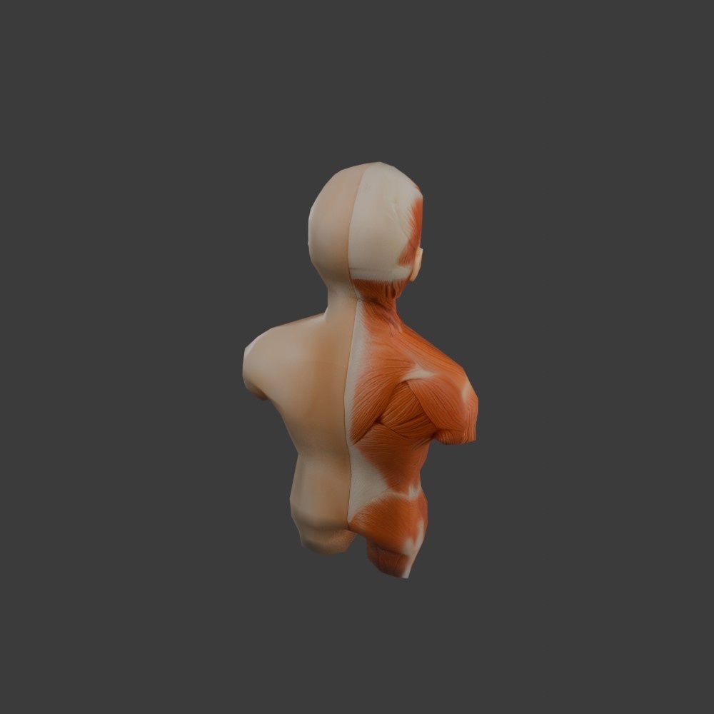 【3D小道具】人体模型すぐる君(ローポリ)