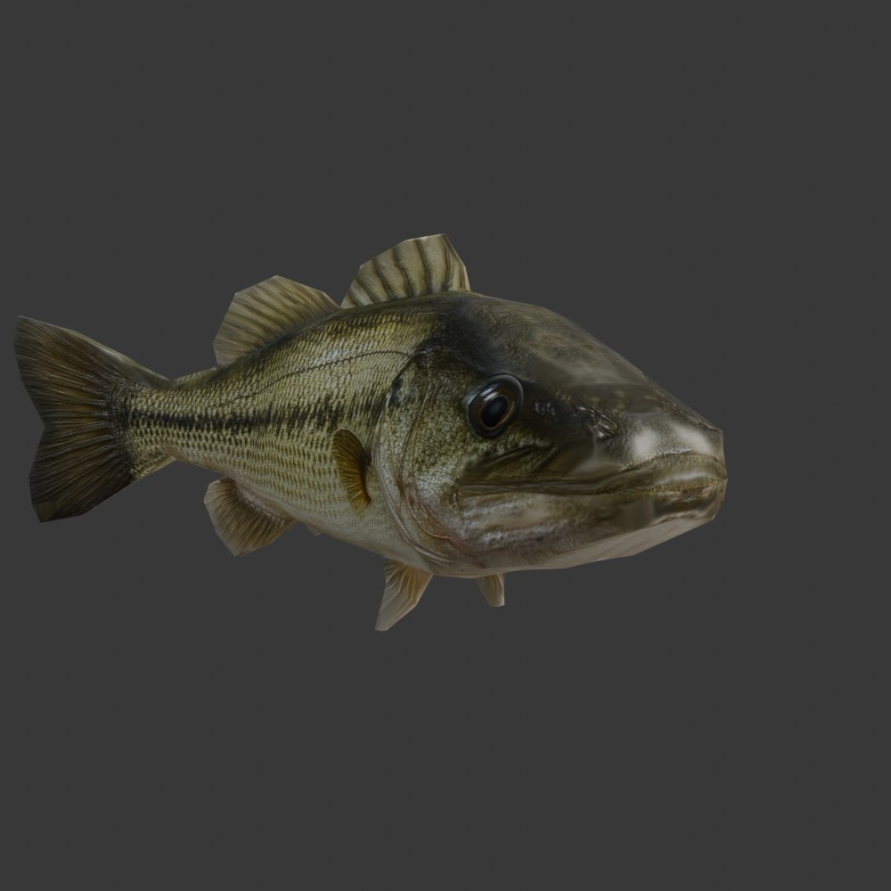 【3Dキャラクター】ブラックバス(ローポリ)
