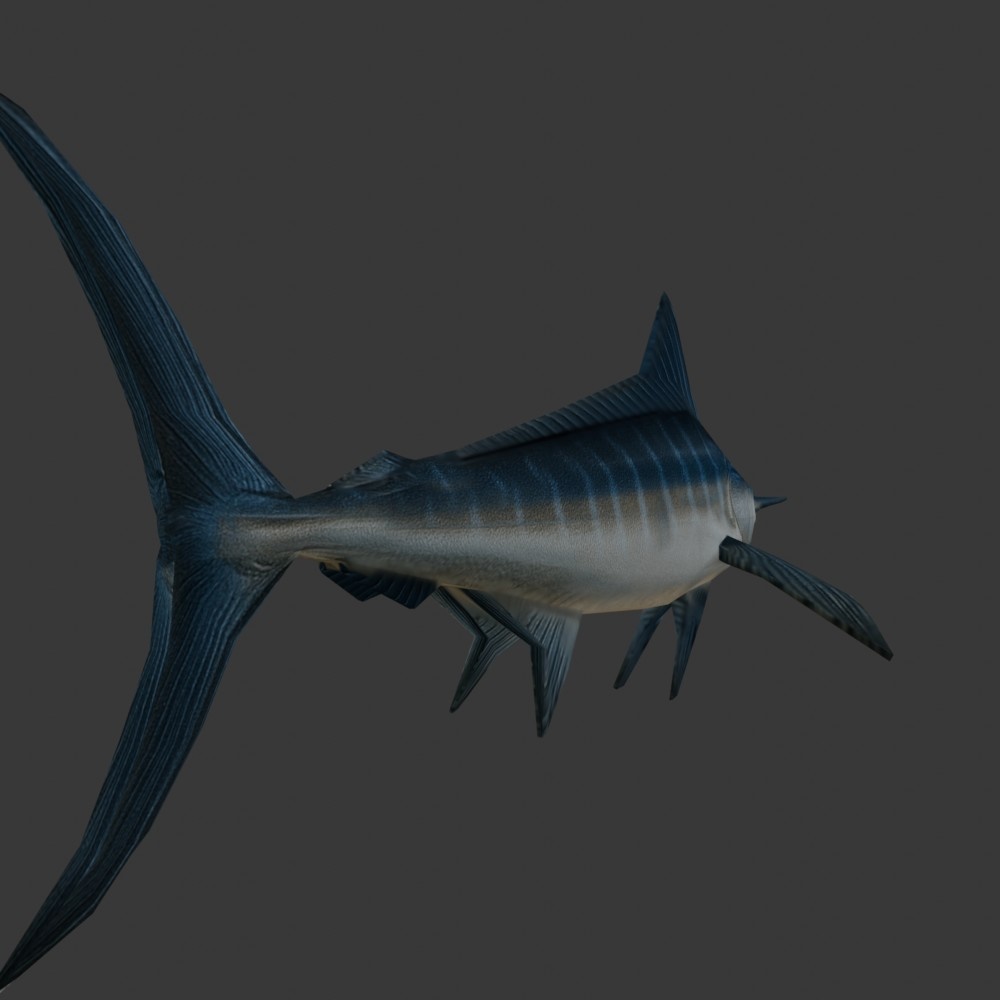 【3Dキャラクター】カジキマグロ(ローポリ)