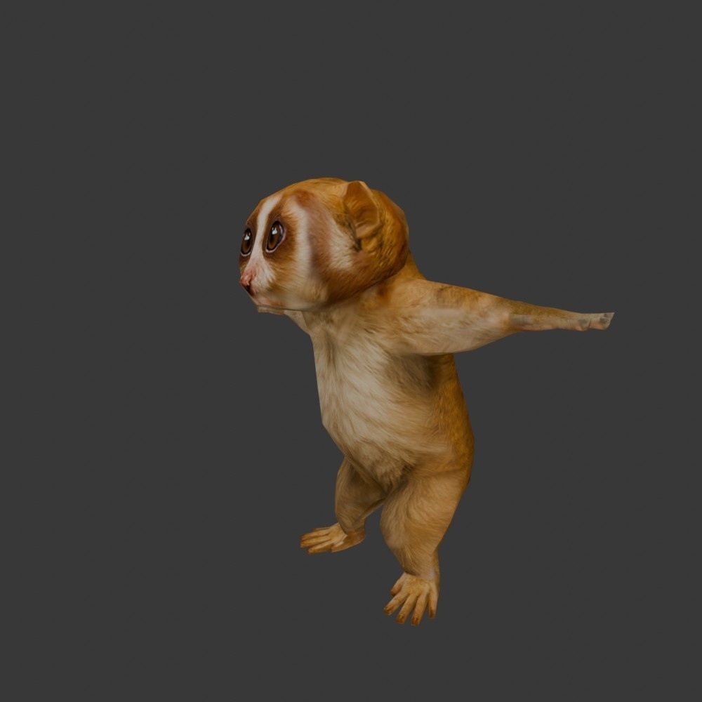 【3Dキャラクター】スロウロリス(ローポリ)